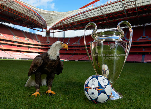 电竞选手转型内容创作备受关注