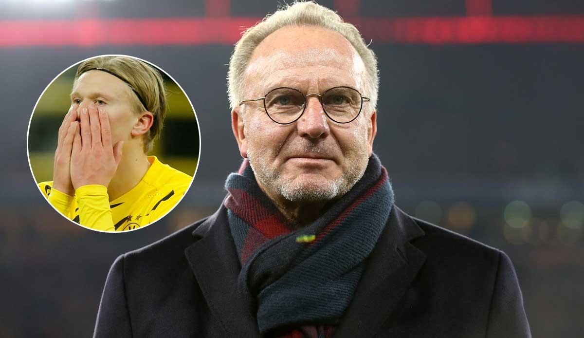 [中超]青岛海牛补时绝平山东泰山